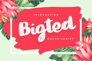 Bigted: A Fun and Cheerful Script Font for Engaging Campaigns