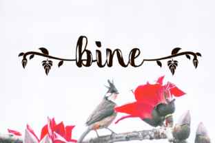 Bine Font: Bold Handwritten Style for Crafters