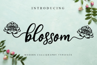 Blossom Font Review: A Designer’s Practical Take