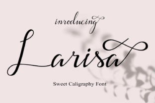 Larisa Font Review: Elevating Campaign Visuals