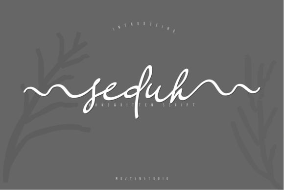 Seduh Font Review: Elevating Campaign Visuals