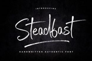 Steadfast: A Unique Script Font for Standout Web Design