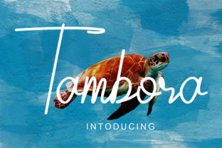 Tambora: A Premium Script Font for Editorial Design